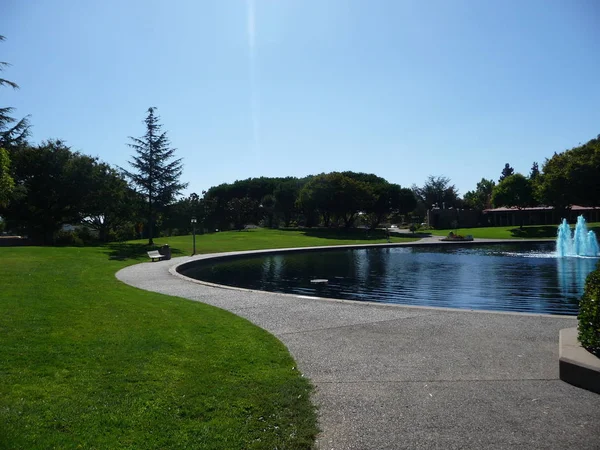 View Landscaping San Francisco Bay Area California — Stock Photo, Image