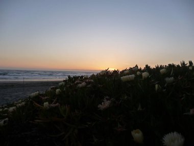 Düz gökyüzü arka plan ile muhteşem okyanus