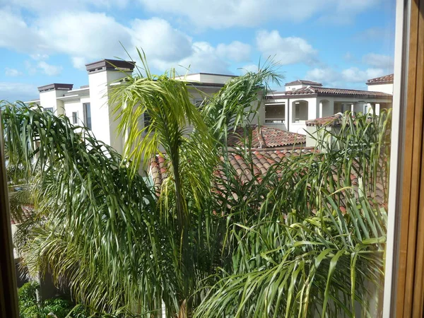 Hotel Resort Building Roofs Palms Foliage — Stock Photo, Image