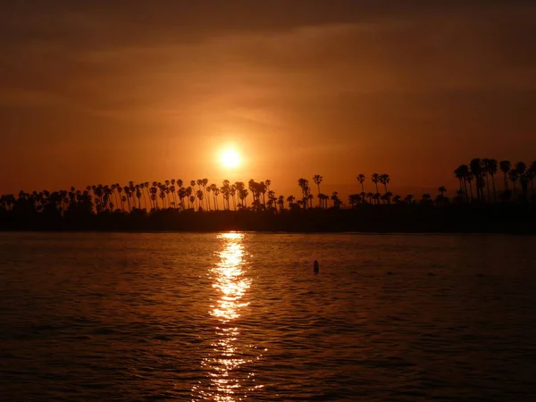 シルエットのヤシと海で空の夕日 — ストック写真