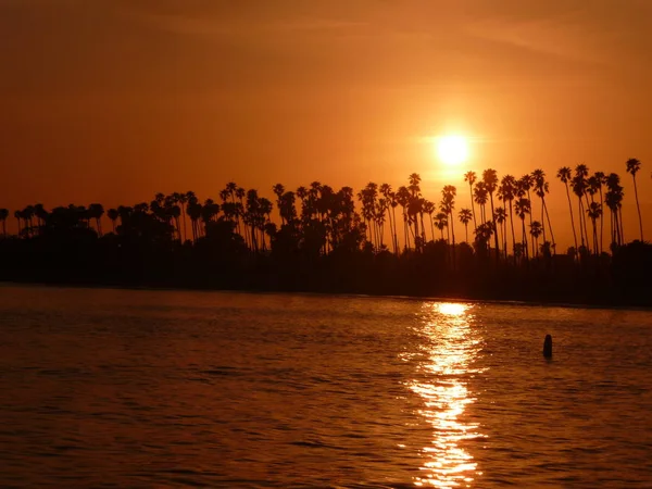 Siluetli Palmiye Deniz Ile Gökyüzünde Gün Batımı — Stok fotoğraf