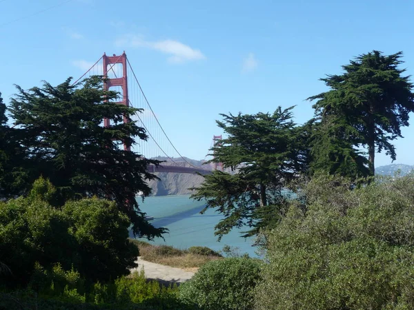 Puente Puerta Oro Visto Través Exuberante Vegetación —  Fotos de Stock