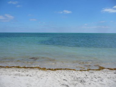 Sakin dalgalar ile muhteşem okyanus manzarası