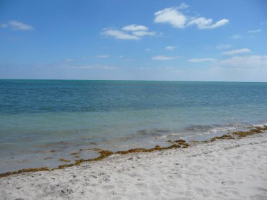 Sakin dalgalar ile muhteşem okyanus manzarası