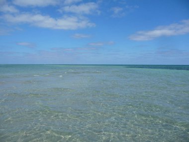 Sakin dalgalar ile muhteşem okyanus manzarası