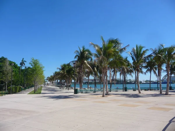 Muelle Soleado Con Palmeras Bajo Cielo Azul — Foto de Stock