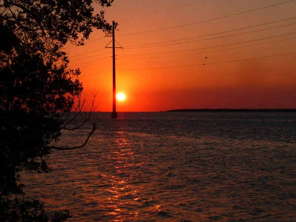 Paesaggio Marino Con Fili Elettrici Tramonto — Foto Stock