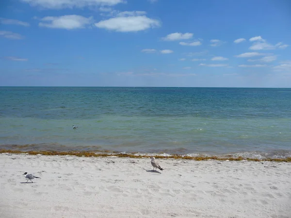 Racky Písečné Pláži Moři Pod Modrým Nebem — Stock fotografie