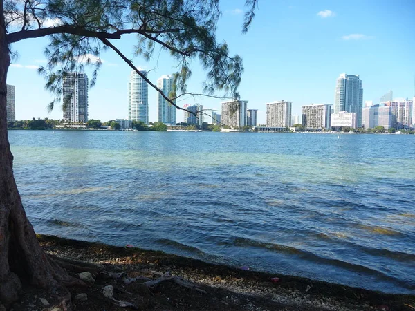 Moderne Gebouwen Water Met Takken Voorgrond — Stockfoto