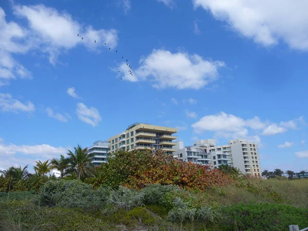 Edificios Residenciales Modernos Cielo Azul Sobre Vegetación — Foto de Stock