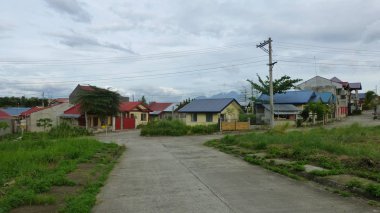 asfalt yol, yemyeşil ve evler ile kırsal sahne