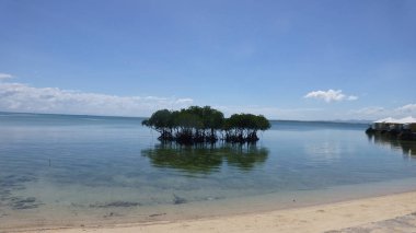 Sakin dalgalar ile muhteşem okyanus manzarası