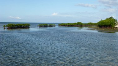 Sakin dalgalar ile muhteşem okyanus manzarası