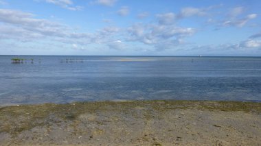 Sakin dalgalar ile muhteşem okyanus manzarası