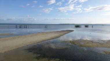 Sakin dalgalar ile muhteşem okyanus manzarası