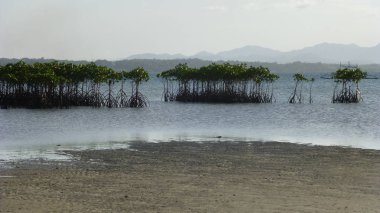 Sakin dalgalar ile muhteşem okyanus manzarası