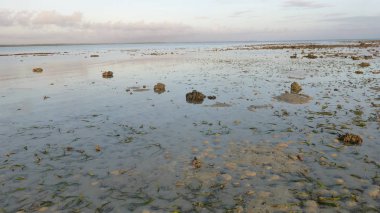 düşük gelgit sırasında birçok mercan ile plaj manzara