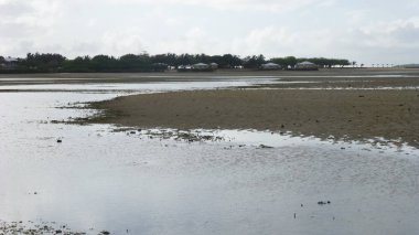 düşük gelgit sırasında tropikal plaj manzara