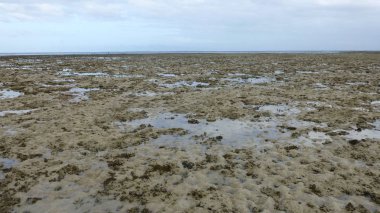 düşük gelgit sırasında birçok mercan ile plaj manzara