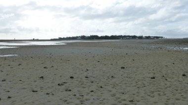 düşük gelgit sırasında birçok mercan ile plaj manzara