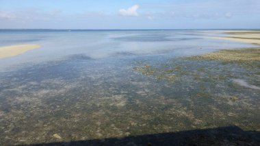düşük gelgit sırasında birçok mercan ile plaj manzara
