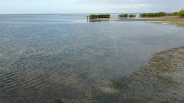 düşük gelgit sırasında tropikal plaj manzara