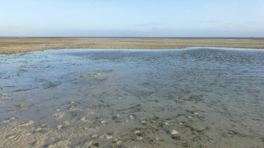 düşük gelgit sırasında birçok mercan ile plaj manzara