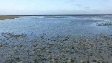 düşük gelgit sırasında birçok mercan ile plaj manzara