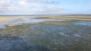 düşük gelgit sırasında birçok mercan ile plaj manzara