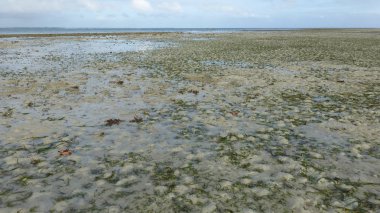 düşük gelgit sırasında tropikal plaj manzara