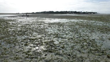 düşük gelgit sırasında tropikal plaj manzara