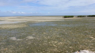 düşük gelgit sırasında tropikal plaj manzara