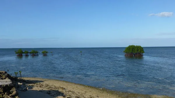 Vue Imprenable Sur Océan Avec Des Vagues Tranquilles — Photo