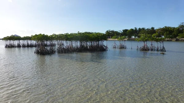 Vue Imprenable Sur Océan Avec Des Vagues Tranquilles — Photo