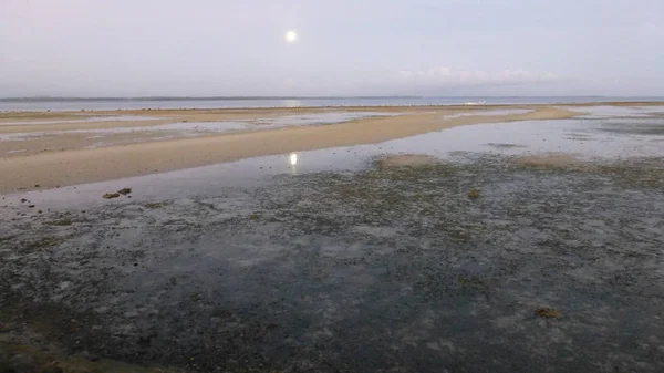 Düşük Gelgit Sırasında Tropikal Plaj Manzara — Stok fotoğraf