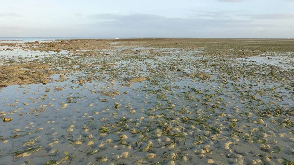 düşük gelgit sırasında birçok mercan ile plaj manzara