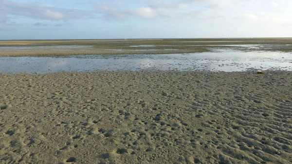 düşük gelgit sırasında birçok mercan ile plaj manzara