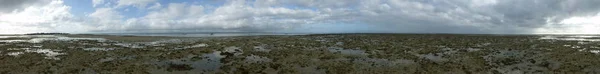 Панорамный Вид Тропический Пляж Время Отлива — стоковое фото