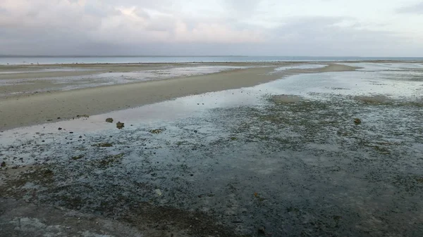 Düşük Gelgit Sırasında Birçok Mercan Ile Plaj Manzara — Stok fotoğraf
