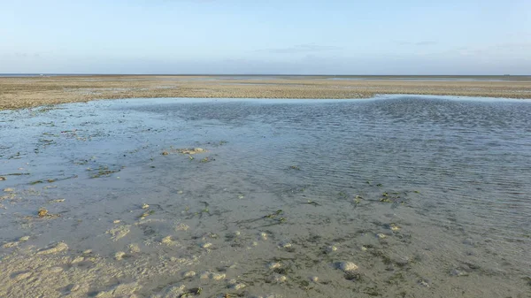düşük gelgit sırasında birçok mercan ile plaj manzara