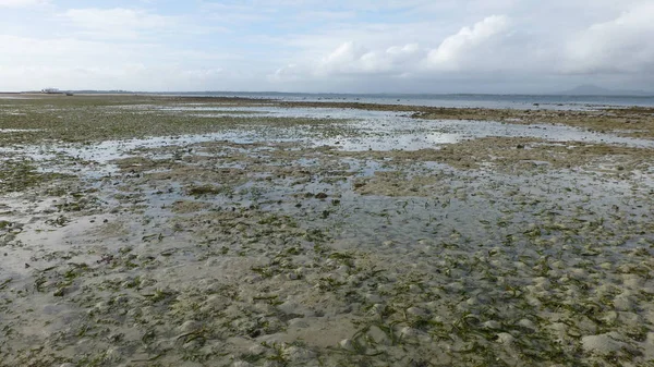 düşük gelgit sırasında tropikal plaj manzara