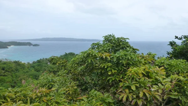 Tropikalny Krajobraz Bujną Zielenią Morzem Pochmurnym Niebie — Zdjęcie stockowe