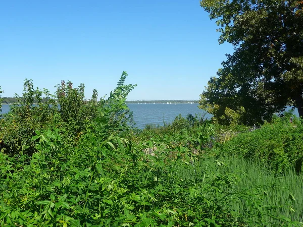 Vue Panoramique Sur Rivière Entourée Verdure Luxuriante — Photo