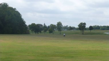 uzak ağaçlar ve bulutlu gökyüzü ile yeşil alan