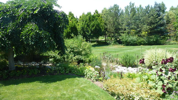 scenic view of greenery and flowers in botanical garden