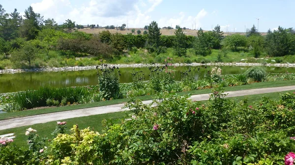 Scenic View Pool Greenery Sunny Botanical Garden — Stock Photo, Image