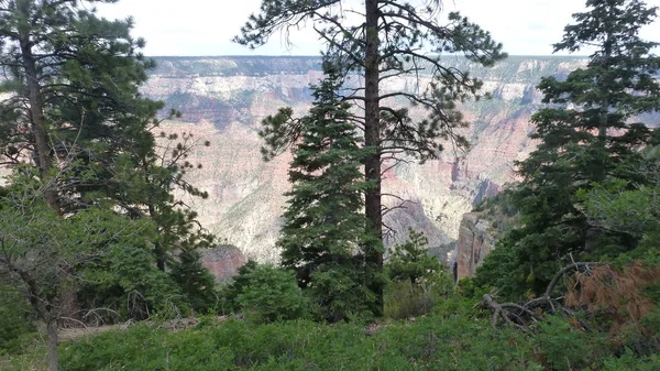 Canyon Rocks Cloudy Sky Seen Green Trees — Stock Photo, Image