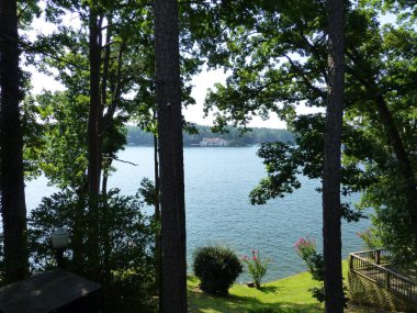 ağaçların arasından görülen güneş ışığılı göl 