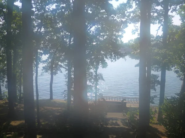 Verschwommene Aufnahme Von Sonnenbeleuchtetem See Durch Bäume Gesehen — Stockfoto