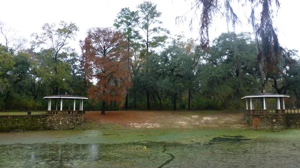 Velho Autêntico Parque Cena Com Lago — Fotografia de Stock